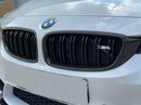 BMW F82 Carbon Grilles