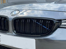 BMW 4 Series Dual Grilles